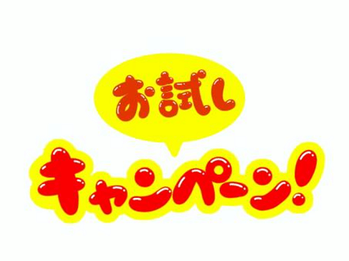 お試し